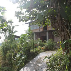 Отель Ta Van Family Homestay Шапа фото 8