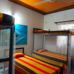 New negombo beach hostel Кровать в общем номере с двухъярусной кроватью фото 2