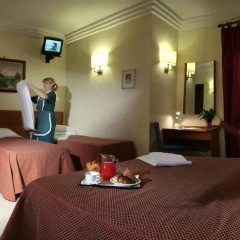 Hotel Delle Muse 3* Стандартный номер с различными типами кроватей фото 12