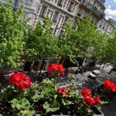 Отель Mont Dore 3* Стандартный номер фото 3