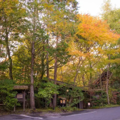 Отель Kurokawa Onsen Oyado Noshiyu Япония, Минамиогуни - отзывы, цены и фото номеров - забронировать отель Kurokawa Onsen Oyado Noshiyu онлайн фото 2
