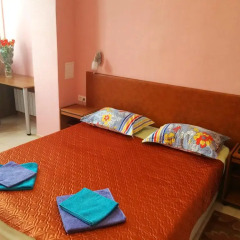 Гостиница Svetlana Apartment в Сочи отзывы, цены и фото номеров - забронировать гостиницу Svetlana Apartment онлайн комната для гостей фото 3