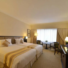 Hotel Equatorial Ho Chi Minh City 4* Номер Делюкс с различными типами кроватей фото 3