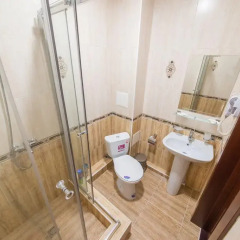 Гостиница Atrium Lux 3* Номер Делюкс с разными типами кроватей