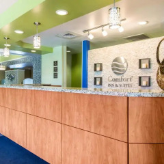 Отель Comfort Inn & Suites near Universal Orlando Resort развлечения