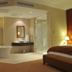 Radisson Hotel, Lagos Ikeja 4* Номер Делюкс с различными типами кроватей фото 2