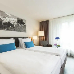 Ameron Luzern Hotel Flora 4* Номер Комфорт с различными типами кроватей фото 2