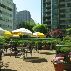 Отель Rosedale On Robson Suite Hotel Канада, Ванкувер - отзывы, цены и фото номеров - забронировать отель Rosedale On Robson Suite Hotel онлайн питание фото 3