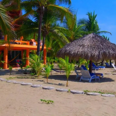 Отель Bungalows Tree Tops 5* Люкс с различными типами кроватей фото 20