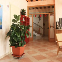 Отель Agriturismo B&B Il Girasole Италия, Мира - отзывы, цены и фото номеров - забронировать отель Agriturismo B&B Il Girasole онлайн интерьер отеля