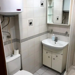 Гостиница Байкал на Диктатуры Пролетариата 35 в Красноярске отзывы, цены и фото номеров - забронировать гостиницу Байкал на Диктатуры Пролетариата 35 онлайн Красноярск ванная