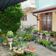 Отель Nikini Homestay фото 2