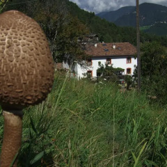 Отель Gruberhof Горнолыжный курорт Ортлер фото 8