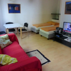 Апартаменты Apartment Danhauser комната для гостей фото 2