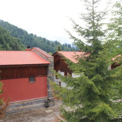 Ayder Hasimoglu Hotel Чамлыхемшин фото 4