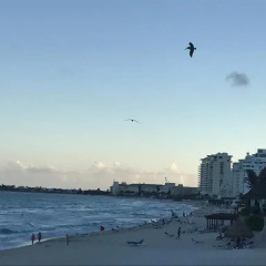 Отель Cancun Condo Rent фото 3