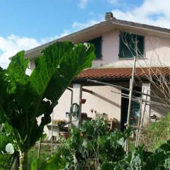 Отель B&B Il Chioso Аулла фото 12