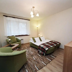 Отель VISITzakopane Rainbow Apartments Польша, Закопане - отзывы, цены и фото номеров - забронировать отель VISITzakopane Rainbow Apartments онлайн комната для гостей фото 3