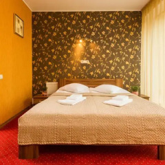 Baltpark Hotel 3* Стандартный номер с двуспальной кроватью фото 16