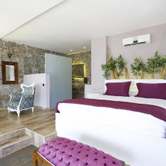 Zakros Hotel Lykia 3* Улучшенный номер с различными типами кроватей фото 2