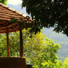 Отель Pepper Hills Cottages Номер Делюкс с различными типами кроватей фото 28