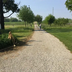 Отель Agriturismo Villa Feriani Италия, Монтегальда - отзывы, цены и фото номеров - забронировать отель Agriturismo Villa Feriani онлайн спортивное сооружение