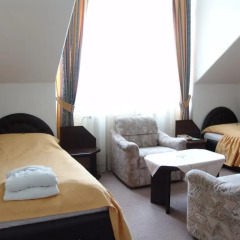 Отель Elwa Spa S.r.o. 3* Стандартный номер с 2 отдельными кроватями фото 2