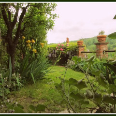 Отель Castello Di Strambinello Италия, Шампорше - отзывы, цены и фото номеров - забронировать отель Castello Di Strambinello онлайн фото 6
