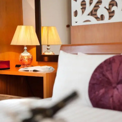 Golden Palace Hotel 3* Стандартный номер с различными типами кроватей фото 22