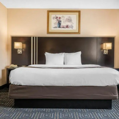 Отель Quality Inn & Suites Mall Of America - Msp Airport 3* Стандартный номер фото 4