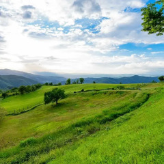 Отель Agriturismo Casa Passerini a Firenze 2* Апартаменты фото 6