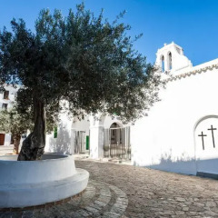 Отель Apartamentos Tramuntana фото 3