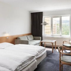 Vejle Center Hotel 3* Стандартный номер с разными типами кроватей фото 4