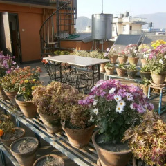 Отель Nepal Apartment Непал, Катманду - отзывы, цены и фото номеров - забронировать отель Nepal Apartment онлайн