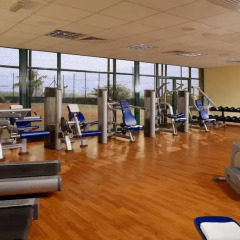 Отель Sheraton Lagos Hotel Нигерия, Лагос - отзывы, цены и фото номеров - забронировать отель Sheraton Lagos Hotel онлайн фитнесс-зал