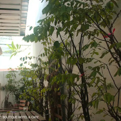 Khemmanatt Boutique Hotel Бангкок