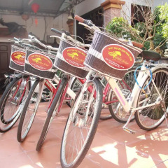 Отель Hoi An Golden Horse Villa спортивное сооружение