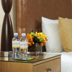 Elan Hotel 3* Представительский номер с различными типами кроватей фото 3