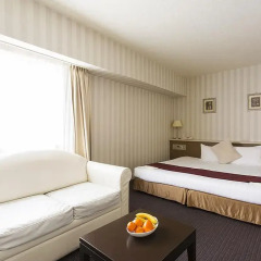 Hotel Francs комната для гостей фото 4