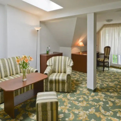 Отель EA Hotel Elefant Чехия, Карловы Вары - отзывы, цены и фото номеров - забронировать отель EA Hotel Elefant онлайн питание фото 3