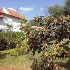 Отель Finca La Luz Bed & Breakfast фото 3