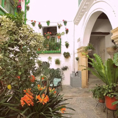 Отель Apartamentos Jerez Испания, Херес-де-ла-Фронтера - отзывы, цены и фото номеров - забронировать отель Apartamentos Jerez онлайн фото 10