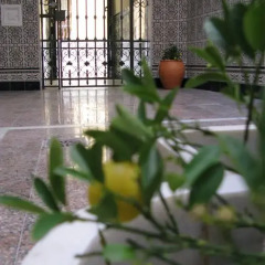 Отель Pensión Azahar фото 15