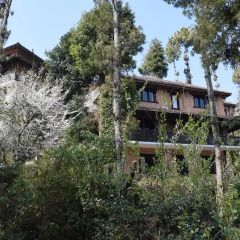Отель The Fort Resort Непал, Нагаркот - отзывы, цены и фото номеров - забронировать отель The Fort Resort онлайн