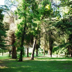 Отель Chalet Finca Nim Сан-Рафаэль приотельная территория