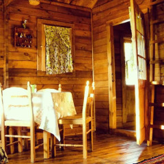 Отель Country Club Primi Faggi Стандартный номер фото 5