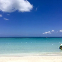 Отель White Sands Negril Ямайка, Саванна-Ла-Мар - отзывы, цены и фото номеров - забронировать отель White Sands Negril онлайн пляж фото 2
