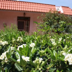 Отель Villa Bologna Капачи фото 3