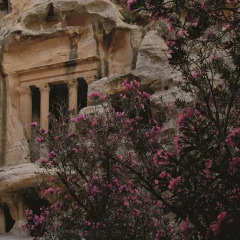Отель Movenpick Resort Petra Иордания, Вади-Муса - 1 отзыв об отеле, цены и фото номеров - забронировать отель Movenpick Resort Petra онлайн