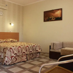 Sofiya Mini Hotel комната для гостей фото 4